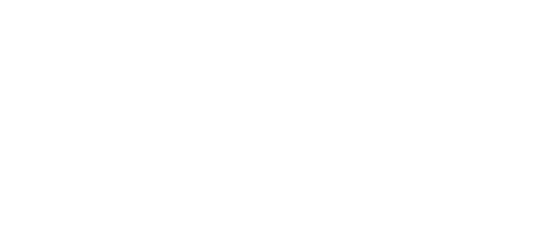 logo boziuklid